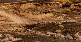 兄弟回签名单最快本周揭晓 新打教受瞩!教练团阵容近期陆续出炉