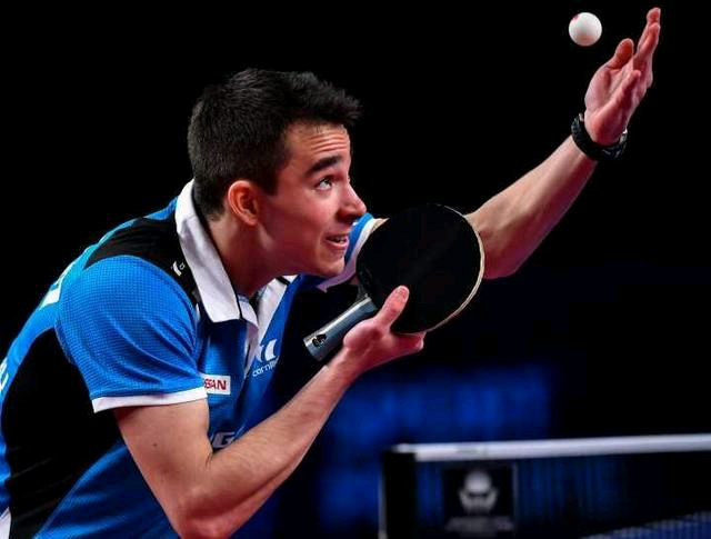 这一观点引 这一观点引