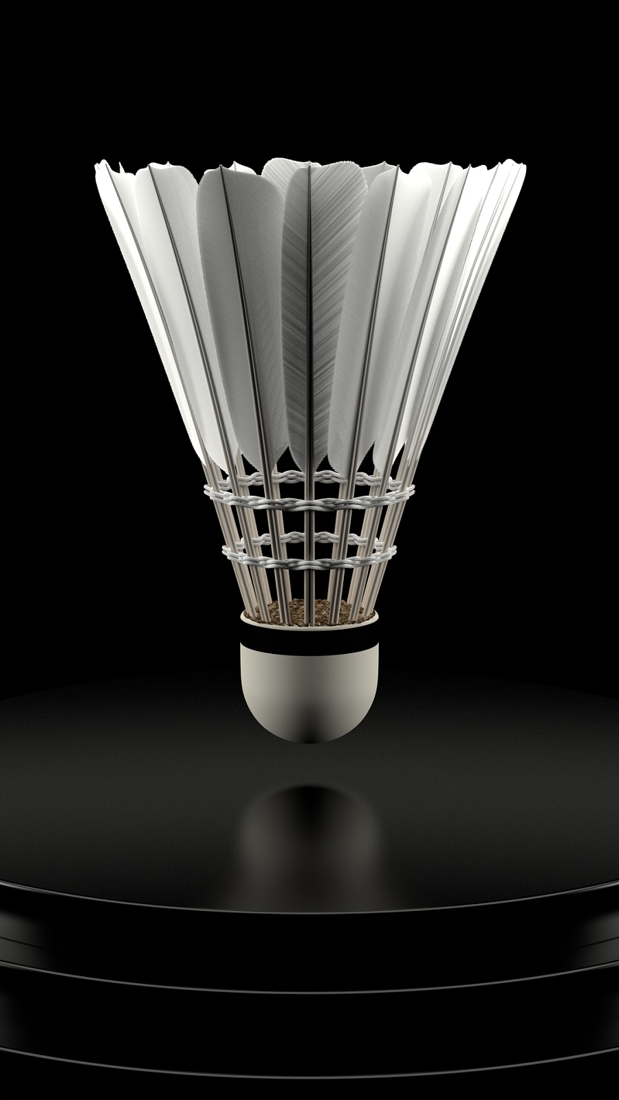 他可以通过 他可以通过